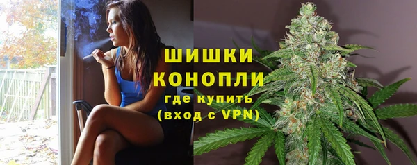 ПСИЛОЦИБИНОВЫЕ ГРИБЫ Алексеевка