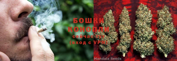 ПСИЛОЦИБИНОВЫЕ ГРИБЫ Алексеевка