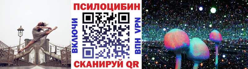 Псилоцибиновые грибы мухоморы  где купить наркоту  Приволжский 